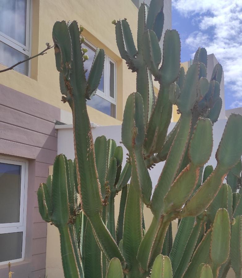 푸에르토델로사리오 Apartamento Con Azotea Privada #Thefunnycactus 아파트 외부 사진